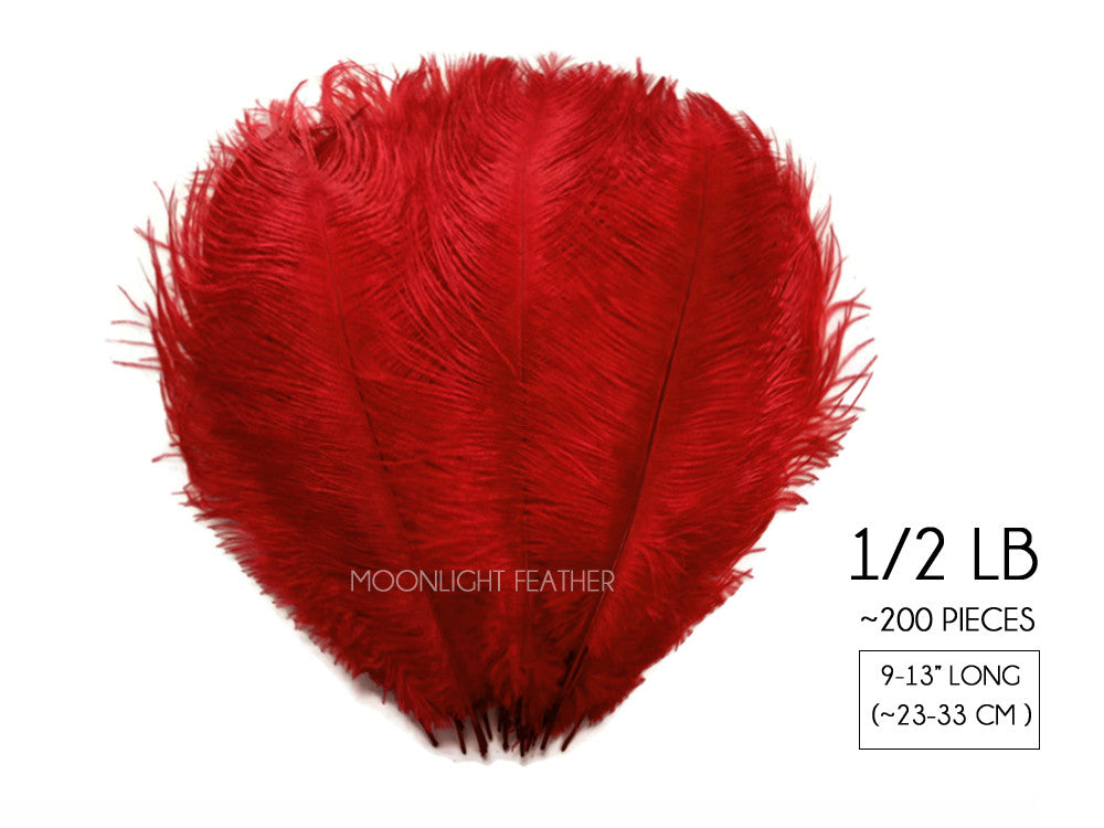 1/2 Lb. - 9-13" Red Dyed Ostrich Body Drab Wholesale Feathers (Bulk)