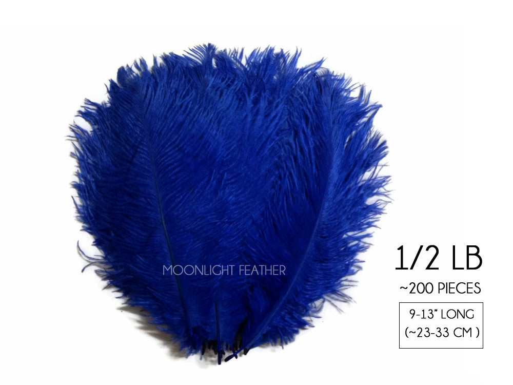 1/2 Lb. - 9-13" Royal Blue Dyed Ostrich Body Drab Wholesale Feathers (Bulk)