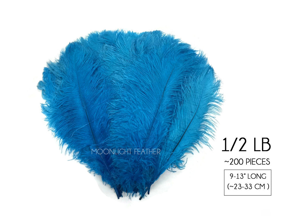 1/2 Lb. - 9-13" Turquoise Blue Dyed Ostrich Body Drab Wholesale Feathers (Bulk)