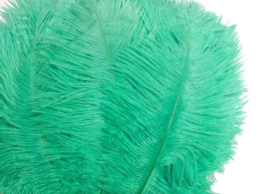 10 Pieces - 6-8" Aqua Green Ostrich Dyed Drabs Body Feathers