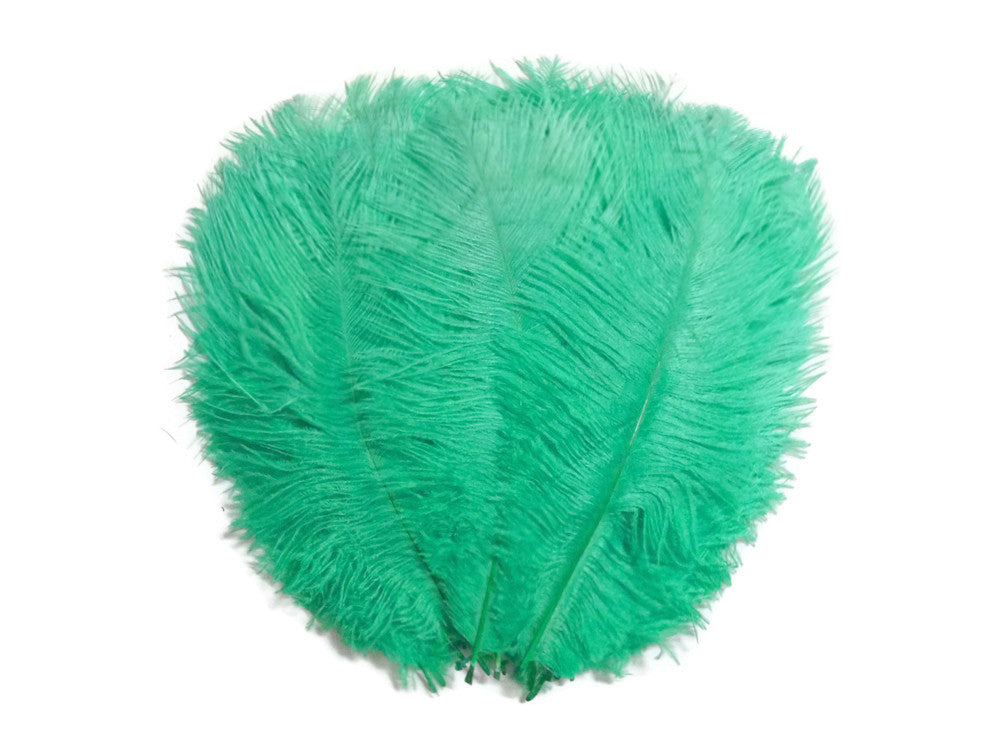 10 Pieces - 14-17" Aqua Green Ostrich Dyed Drab Body Feathers