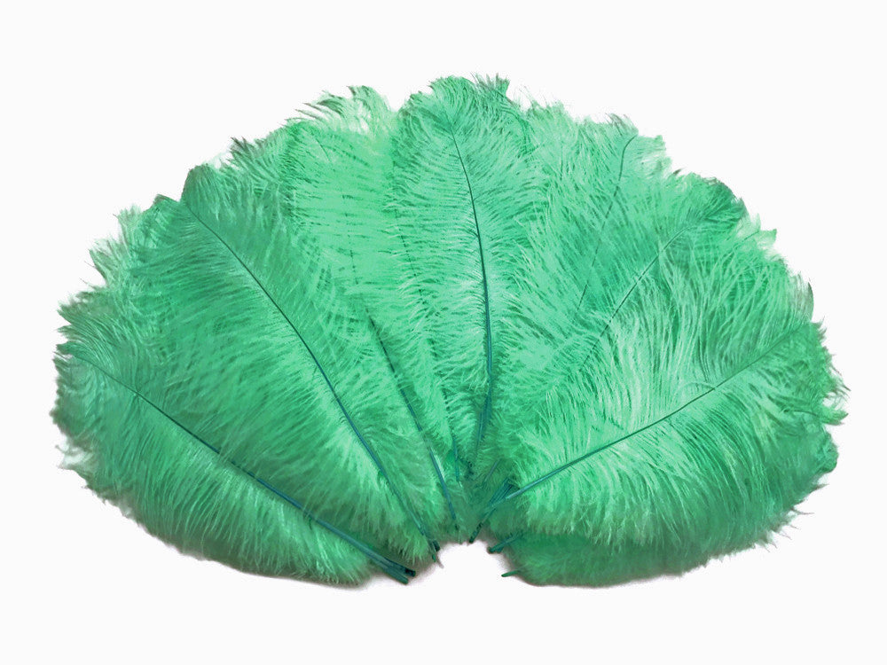10 Pieces - 14-17" Aqua Green Ostrich Dyed Drab Body Feathers