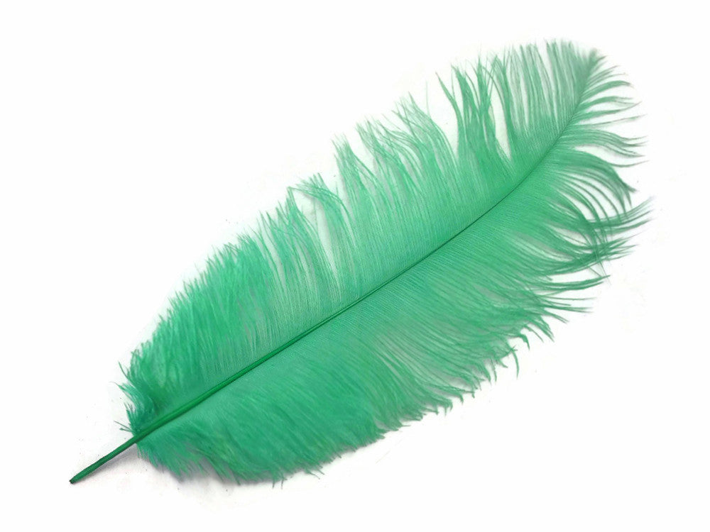 10 Pieces - 14-17" Aqua Green Ostrich Dyed Drab Body Feathers