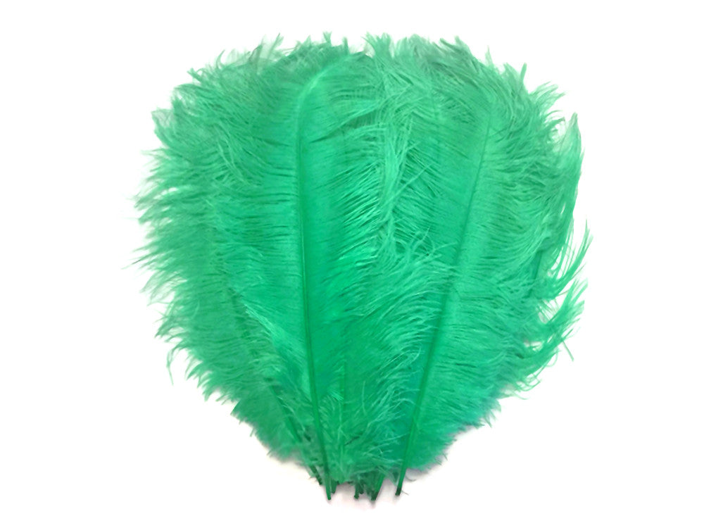 10 Pieces - 19-24" Aqua Green Ostrich Dyed Drabs Body Feathers