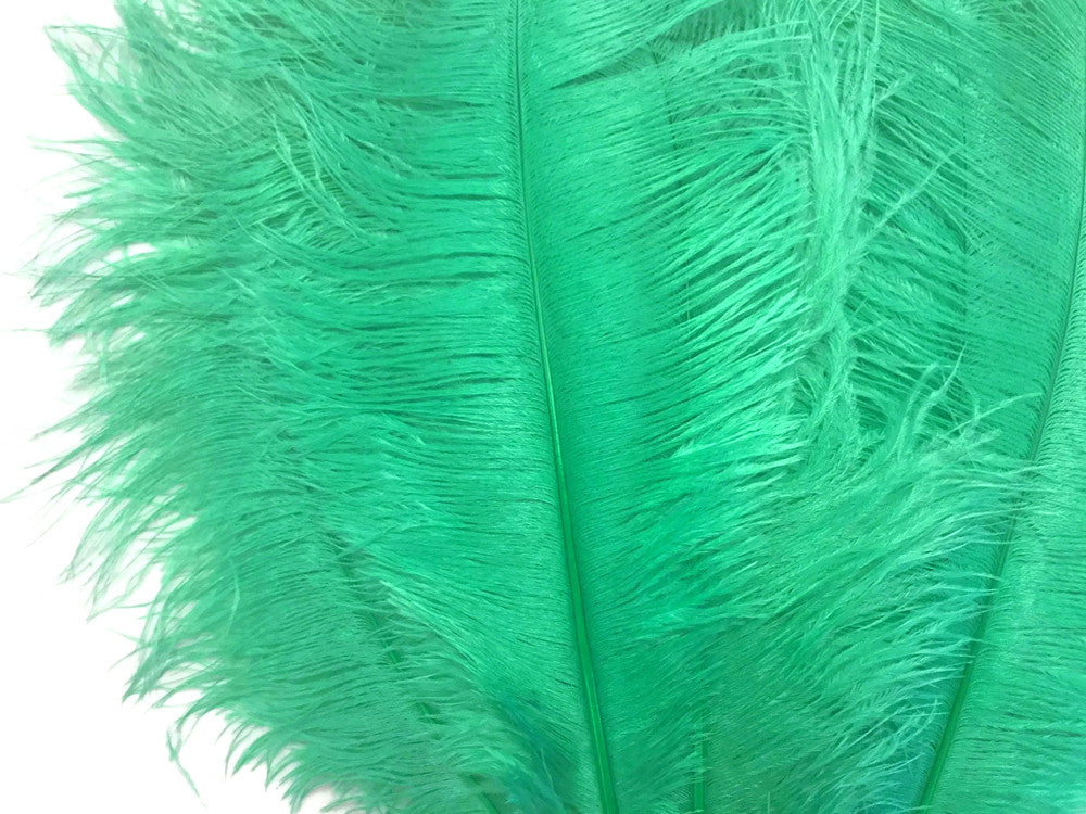 1/2 Lb - 17-19" Aqua Green Ostrich Large Drab Wholesale Feathers (Bulk)