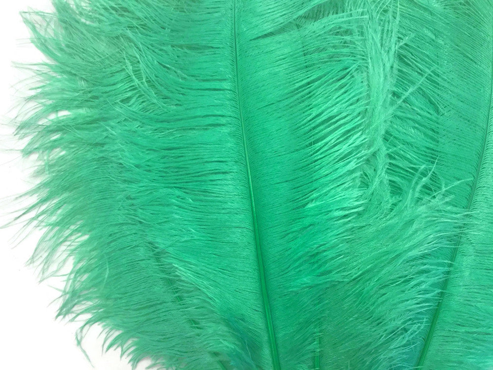 1/2 lb. - 14-17" Aqua Green Ostrich Large Body Drab Wholesale Feathers (Bulk)