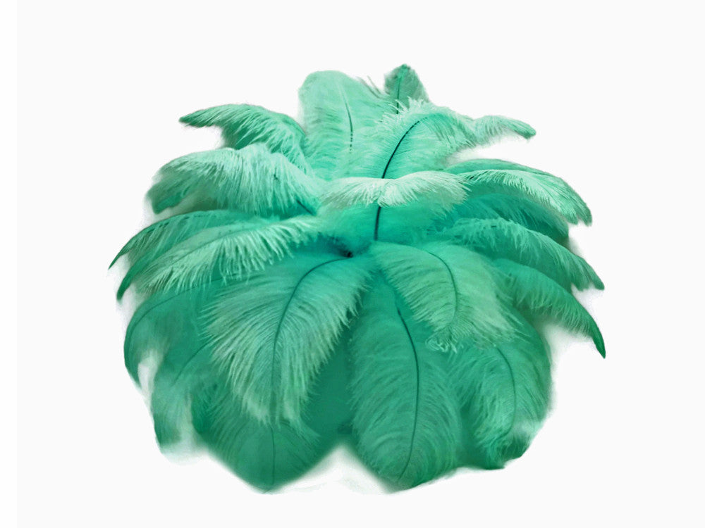 10 Pieces - 14-17" Aqua Green Ostrich Dyed Drab Body Feathers