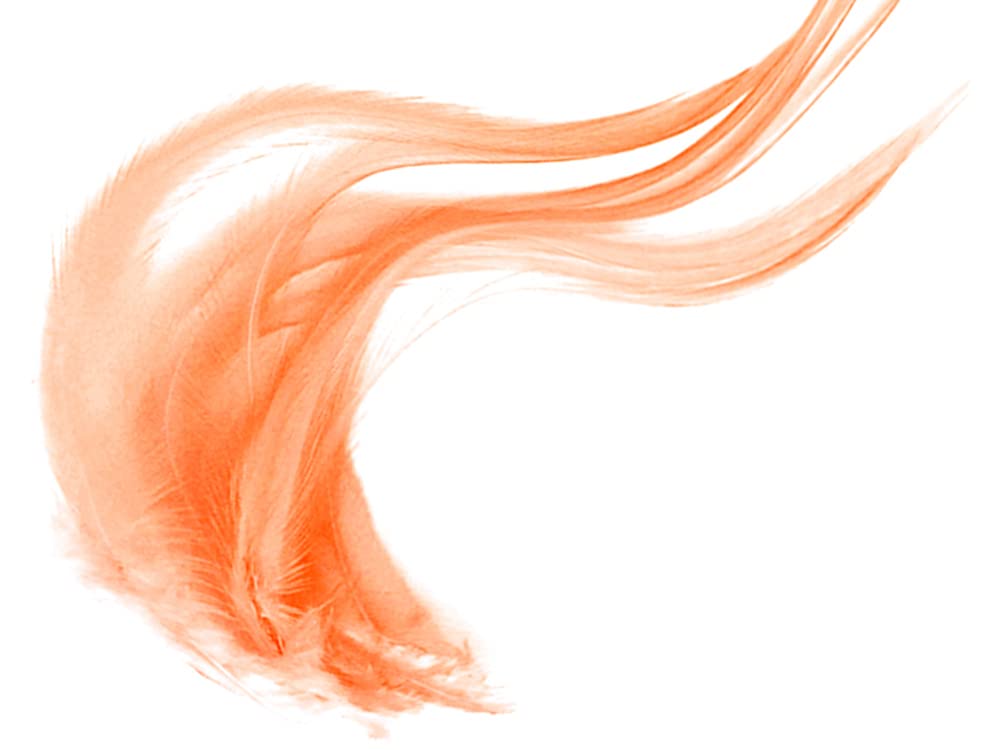 1 Dozen - Short Solid Tangerine Whiting Farm Rooster Saddle Hair Extension Feathers