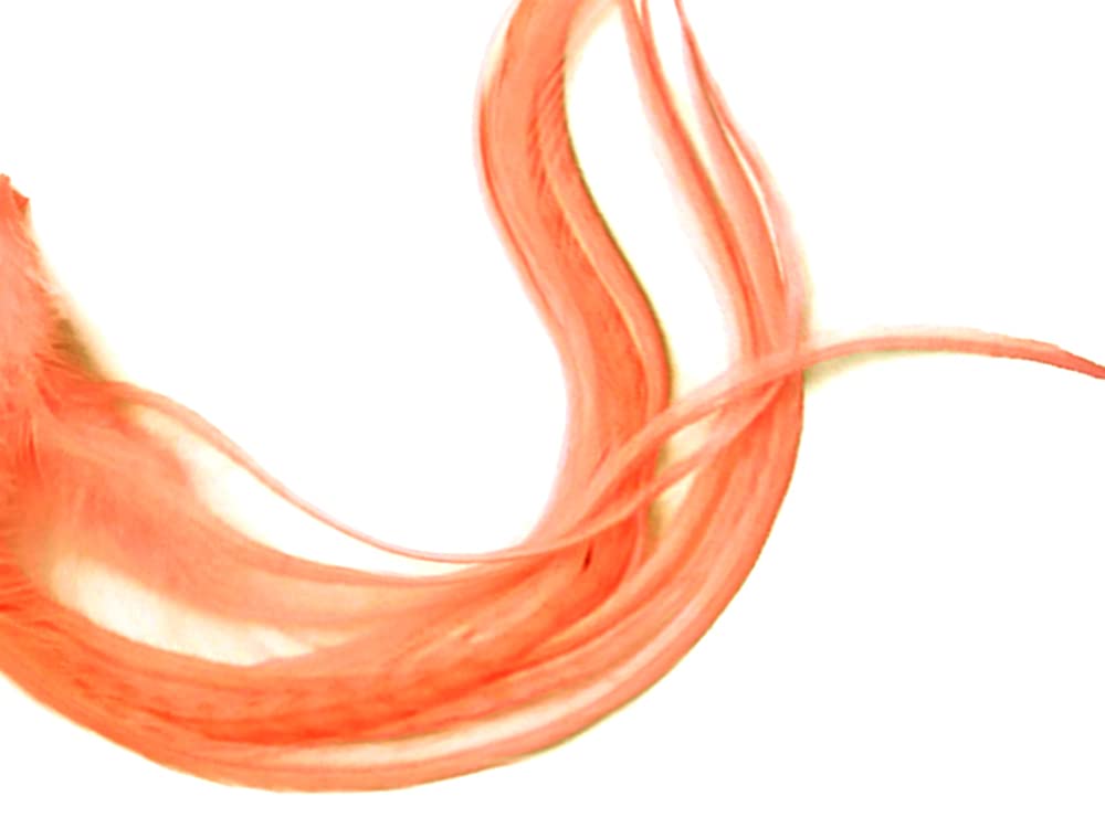 1 Dozen - Short Solid Tangerine Whiting Farm Rooster Saddle Hair Extension Feathers