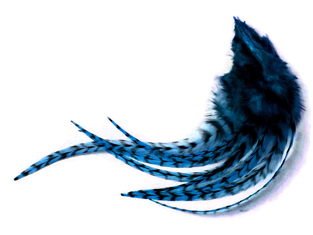 1 Dozen - Short Turquoise Blue Grizzly Rooster Hair Extension Feathers