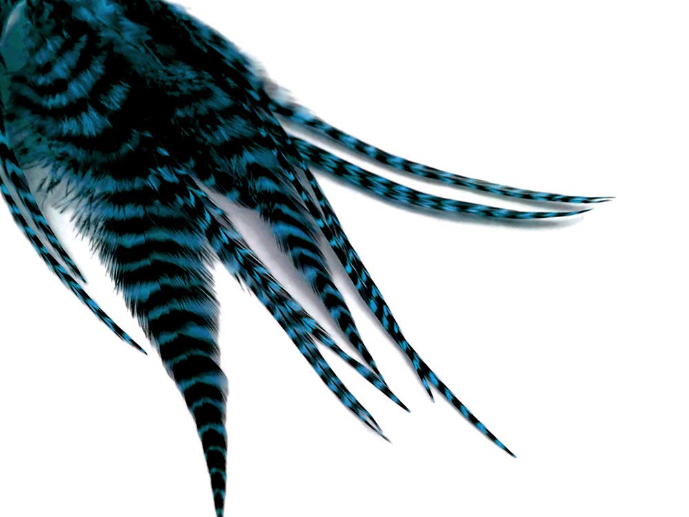 1 Dozen - Short Turquoise Blue Grizzly Rooster Hair Extension Feathers