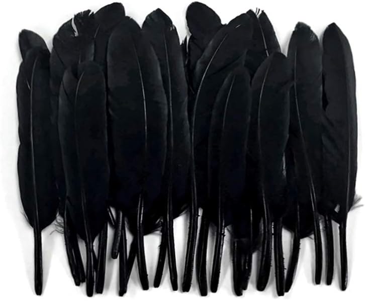 1 Pack - Black Dyed Duck Cochettes Loose Wing Quill Feather 0.30 Oz.