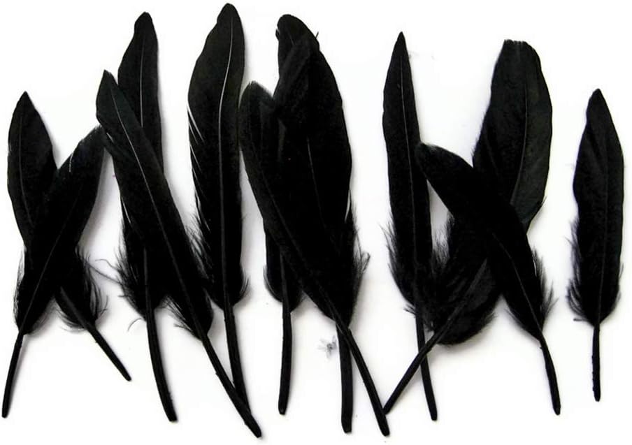 1 Pack - Black Dyed Duck Cochettes Loose Wing Quill Feather 0.30 Oz.