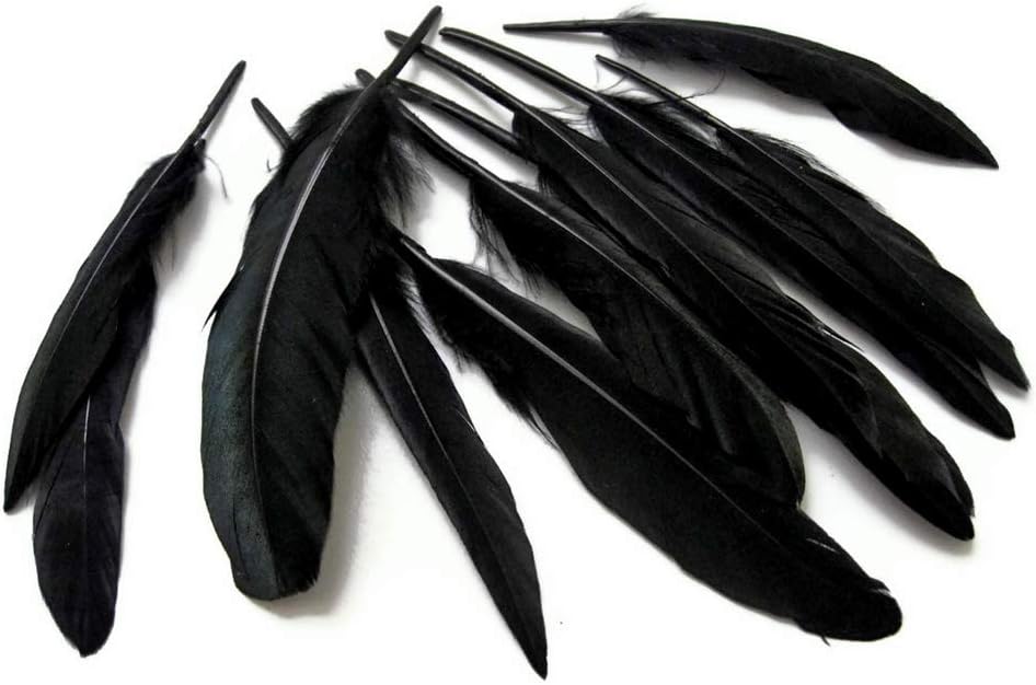 1 Pack - Black Dyed Duck Cochettes Loose Wing Quill Feather 0.30 Oz.