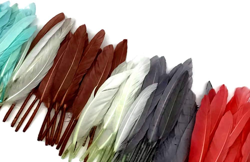 1 Pack - Black Dyed Duck Cochettes Loose Wing Quill Feather 0.30 Oz.