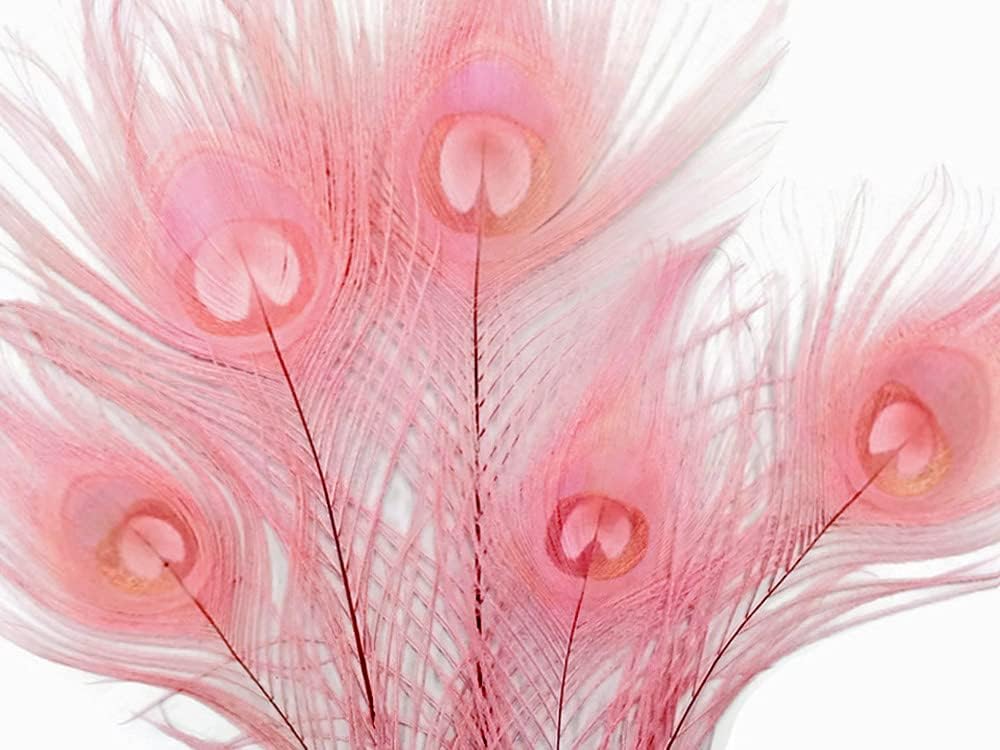 5 Pieces – Dusty Pink Bleached & Dyed Peacock Tail Eye Feathers 10-12” Long