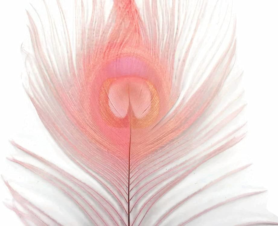 50 Pieces – Dusty Pink Bleached & Dyed Peacock Tail Eye Wholesale Feathers (Bulk) 10-12” Long