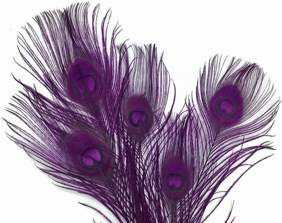 5 Pieces – Purple Bleached & Dyed Peacock Tail Eye Feathers 10-12” Long