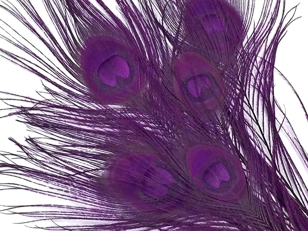 5 Pieces – Purple Bleached & Dyed Peacock Tail Eye Feathers 10-12” Long