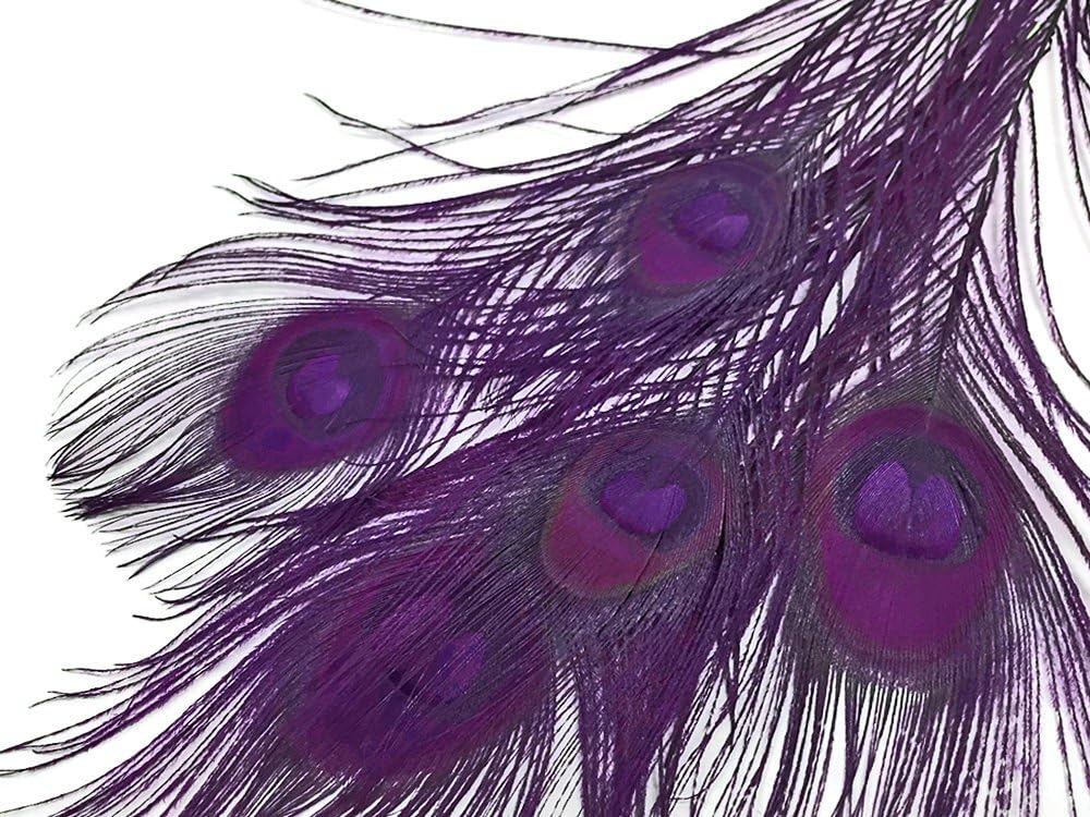 5 Pieces – Purple Bleached & Dyed Peacock Tail Eye Feathers 10-12” Long