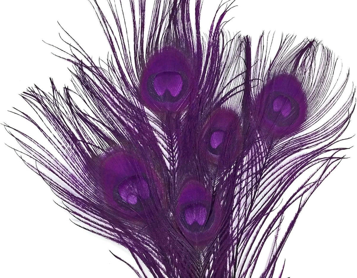 5 Pieces – Purple Bleached & Dyed Peacock Tail Eye Feathers 10-12” Long