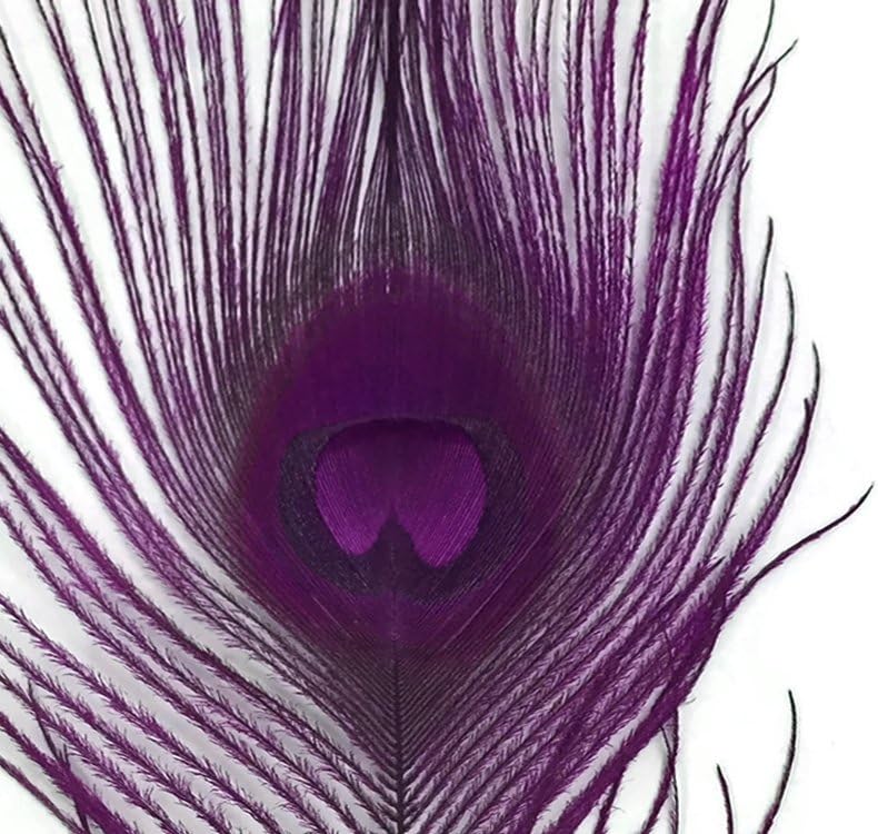 5 Pieces – Purple Bleached & Dyed Peacock Tail Eye Feathers 10-12” Long