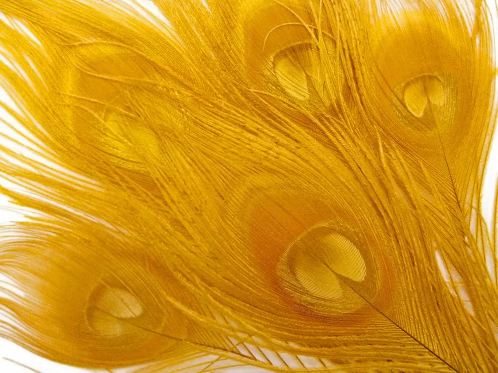 50 Pieces - 30-35" Golden Yellow Bleached & Dyed Peacock Tail Eye Wholesale Feathers (Bulk)
