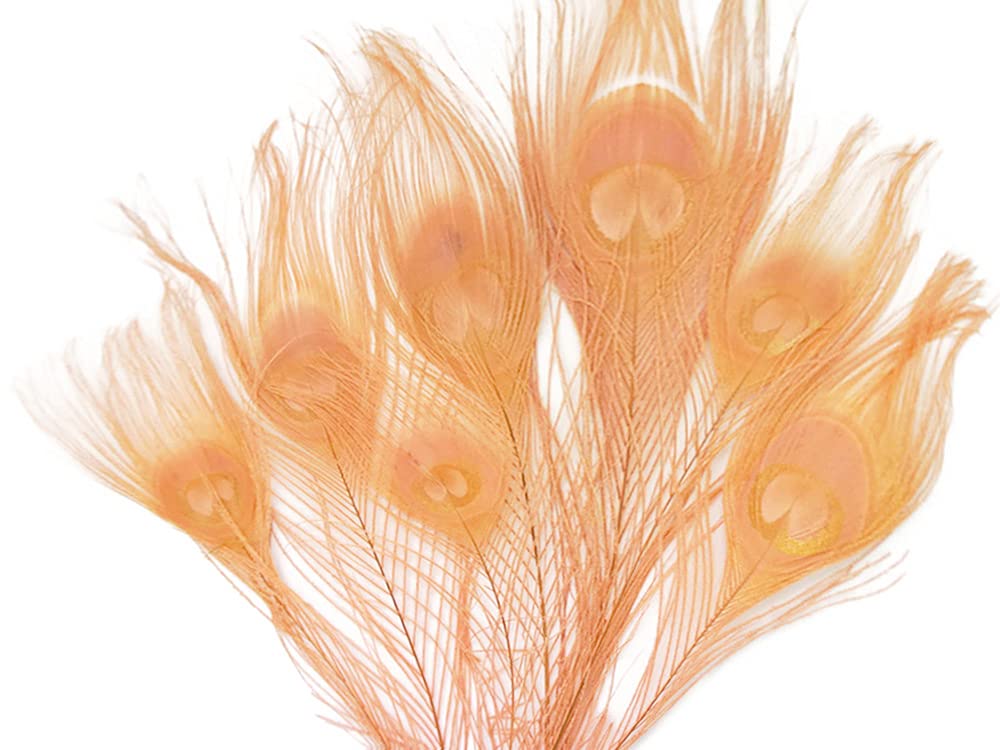 5 Pieces – Peach Pink Bleached & Dyed Peacock Tail Eye Feathers 10-12” Long