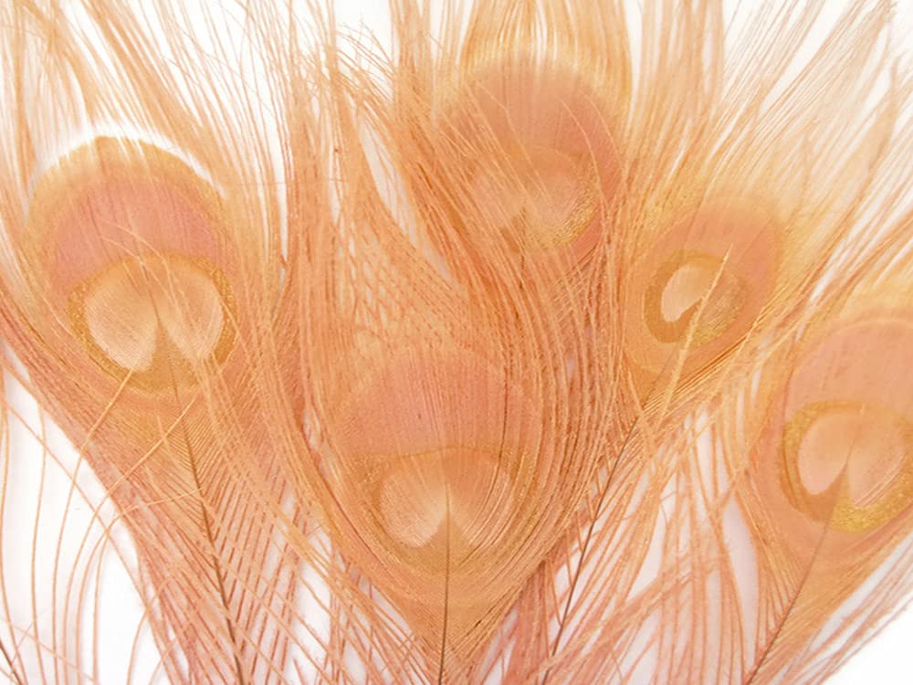 5 Pieces – Peach Pink Bleached & Dyed Peacock Tail Eye Feathers 10-12” Long