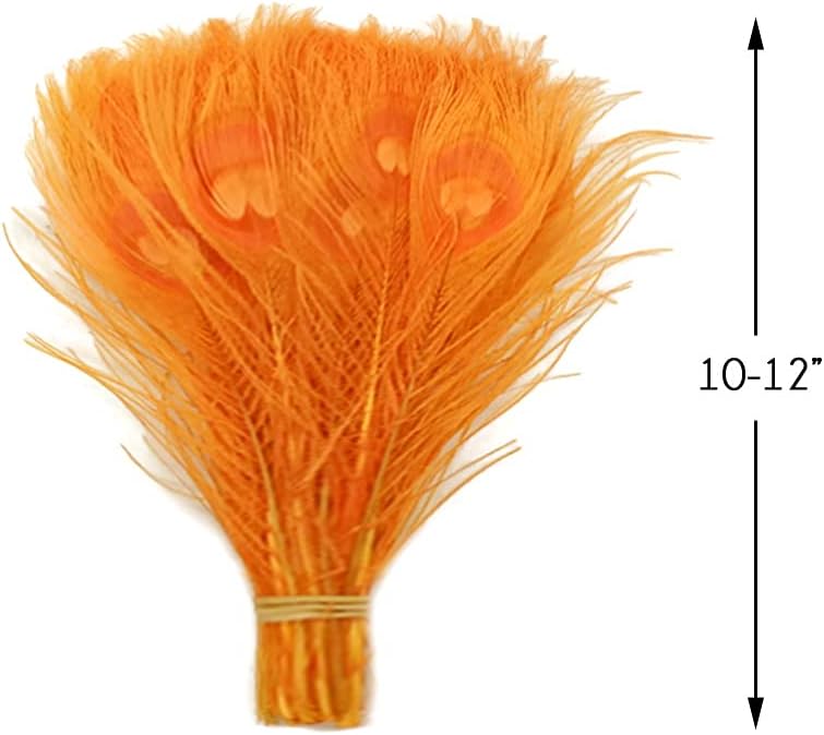 100 Pieces – Orange Bleached & Dyed Peacock Tail Eye Wholesale Feathers (Bulk) 10-12” Long