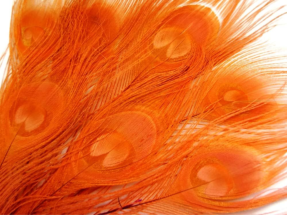 50 Pieces – Orange Bleached & Dyed Peacock Tail Eye Wholesale Feathers (Bulk) 10-12” Long