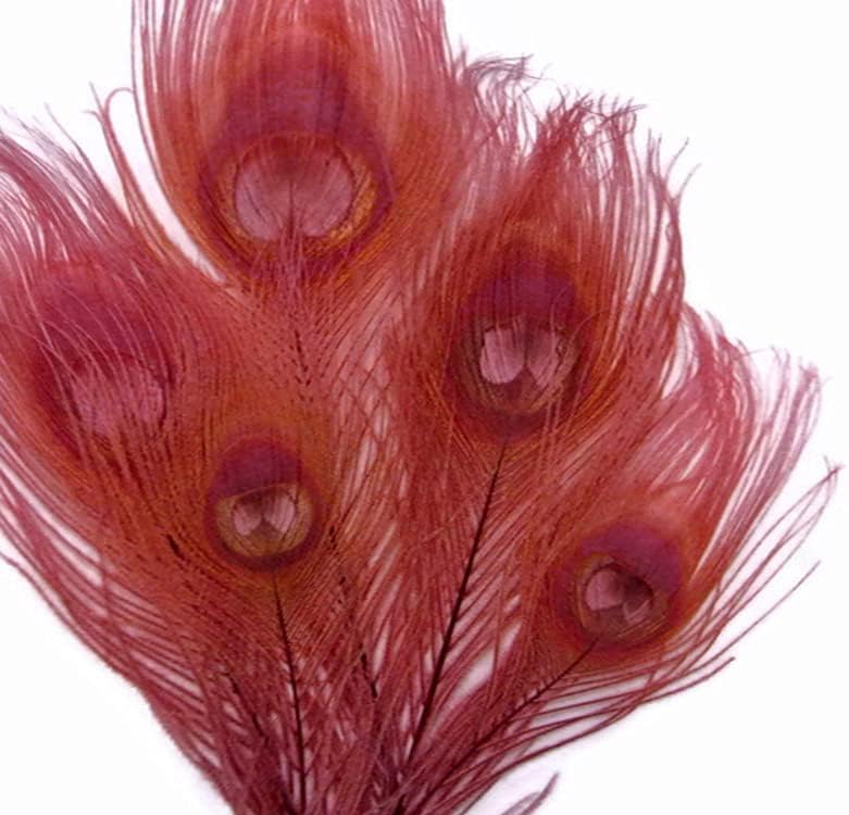 100 Pieces - Taupe Bleached And Dyed Peacock Tail Eye Wholesale Feathers (Bulk)