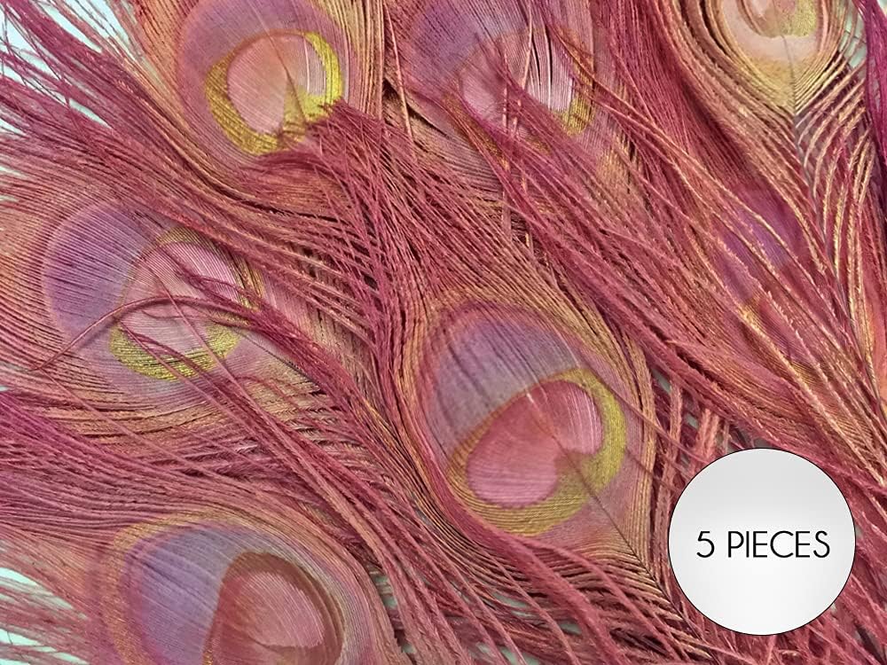 50 Pieces – Taupe Bleached & Dyed Peacock Tail Eye Wholesale Feathers (Bulk) 10-12” Long