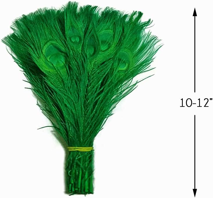 50 Pieces – Kelly Green Bleached & Dyed Peacock Tail Eye Wholesale Feathers (Bulk) 10-12” Long