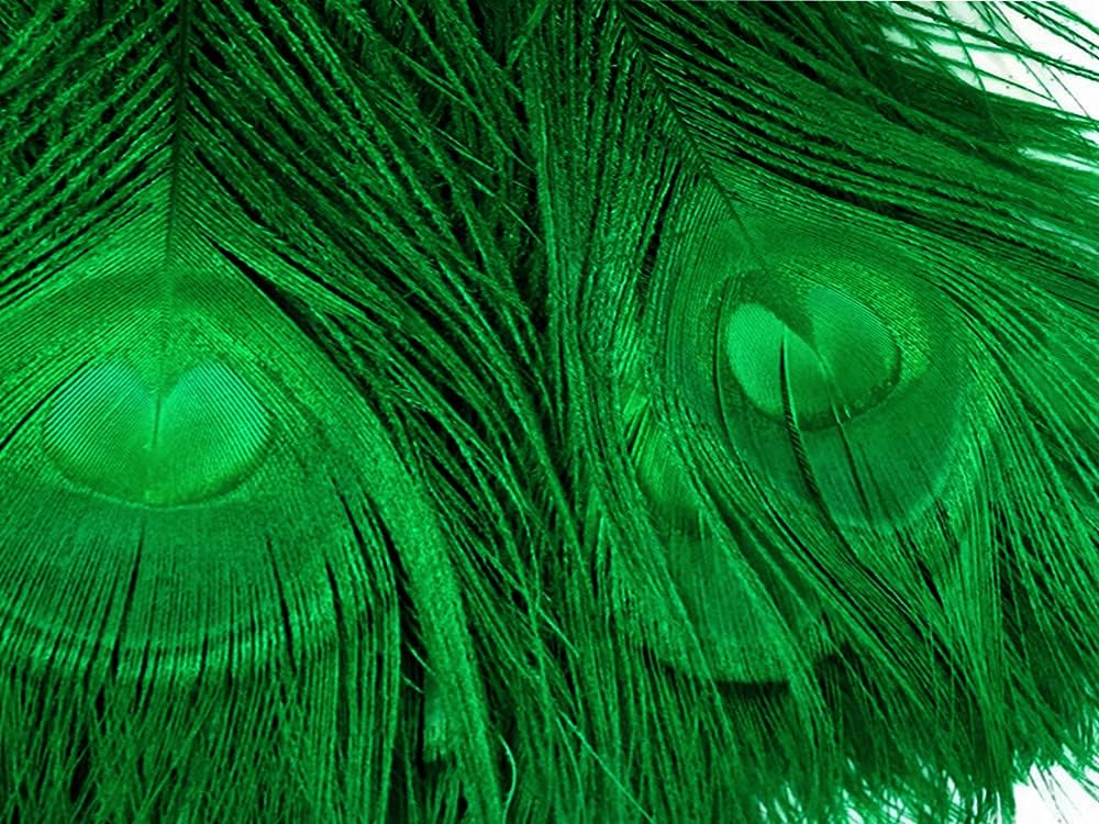 50 Pieces – Kelly Green Bleached & Dyed Peacock Tail Eye Wholesale Feathers (Bulk) 10-12” Long