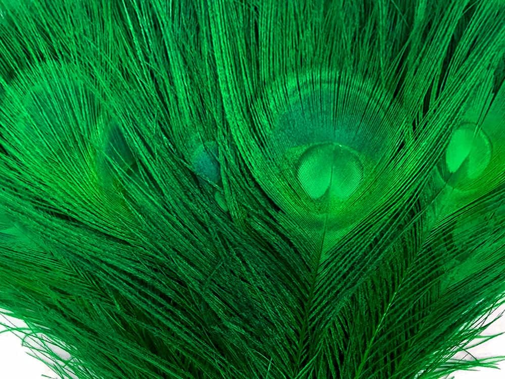 50 Pieces - 30-35" Kelly Green Bleached & Dyed Peacock Tail Eye Wholesale Feathers (Bulk)