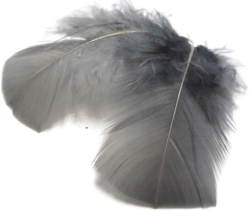 1 Pack - Grey Turkey T-Base Plumage Feathers 0.50 Oz.