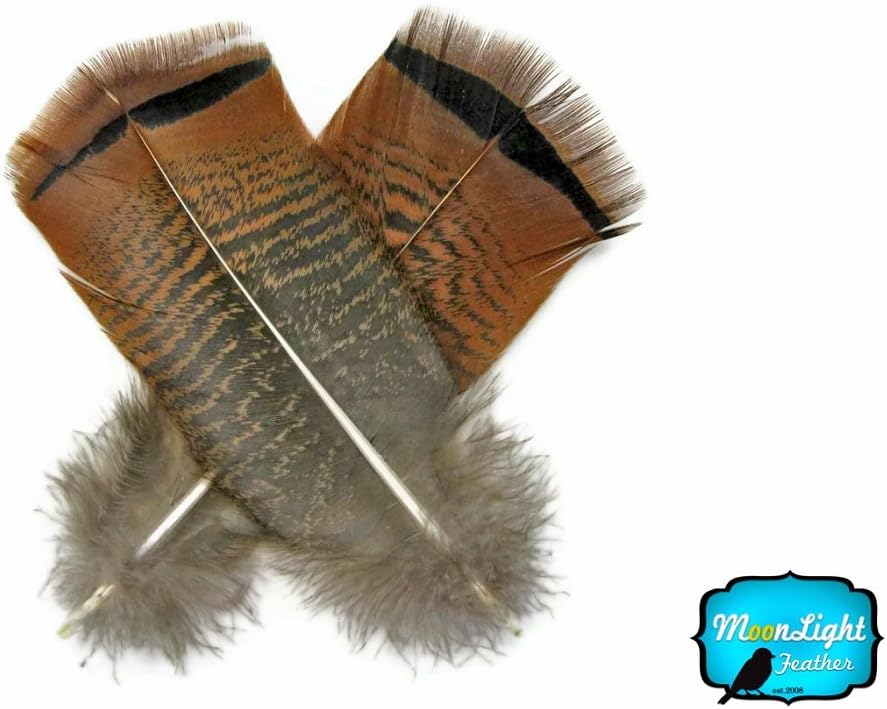5 Pieces - Big Natural Brown Wild Barred Turkey Flat Tail Feathers
