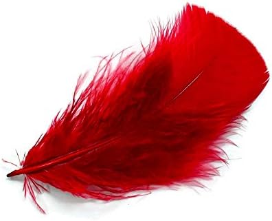 1 Pack - Red Dyed Turkey T-Base triangle Body Plumage Feathers 0.50 Oz.