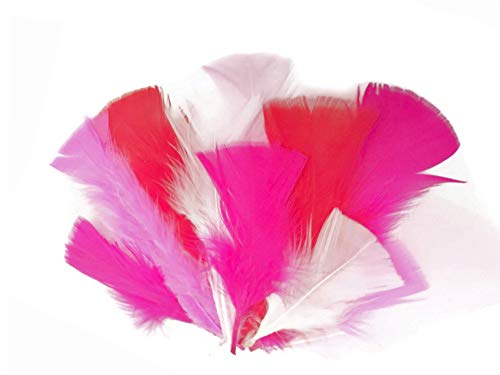 1 Pack - Hot Pink Dyed Turkey T-Base triangle Body Plumage Feathers 0.50 Oz.