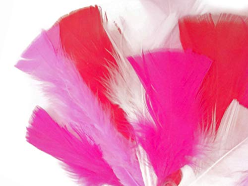 1 Pack - Hot Pink Dyed Turkey T-Base triangle Body Plumage Feathers 0.50 Oz.