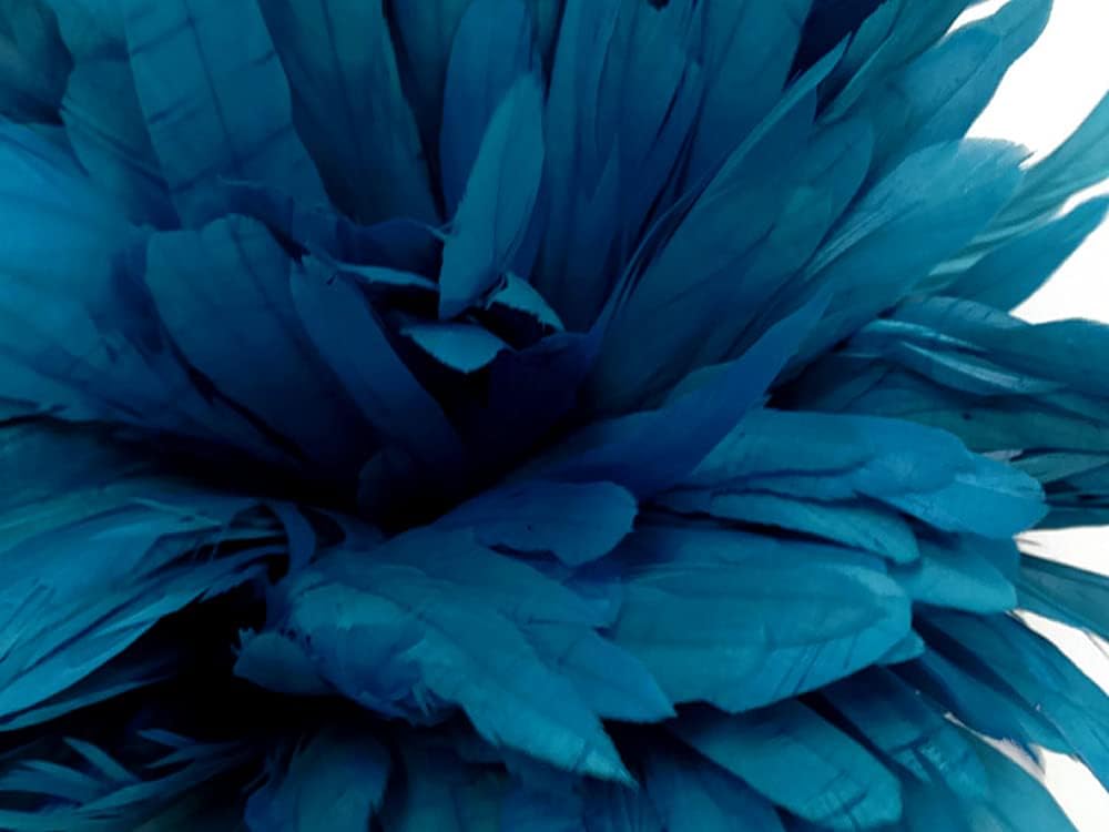 1/8 Lb. -  16-18" Turquoise Blue Strung Natural Bleach & Dyed Rooster Coque Tail Wholesale Feathers (Bulk)