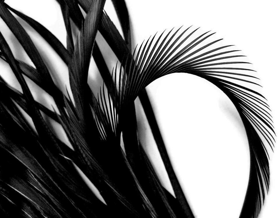 1 Yard - Black Goose Biots Stripped Wing Wholesale Feather Trim