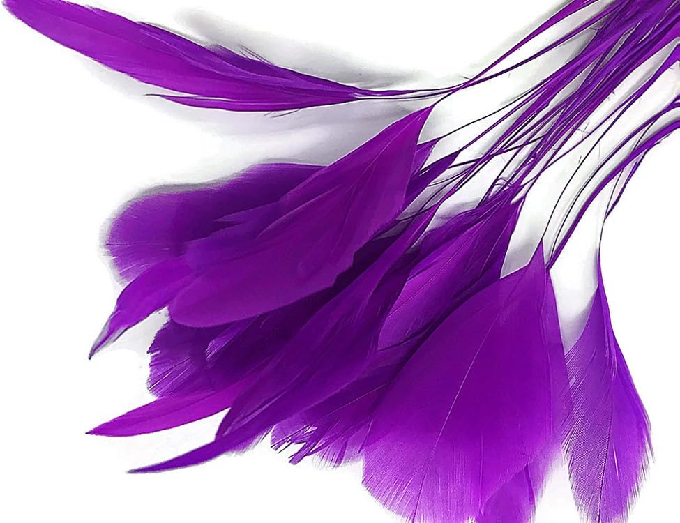 1 Dozen - Purple Stripped Rooster Coque Tail Feathers