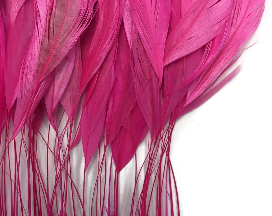 1 Dozen - Hot Pink Stripped Rooster Coque Tail Feathers