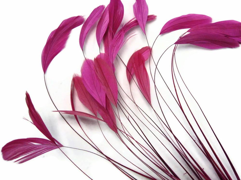 1 Dozen - Hot Pink Stripped Rooster Coque Tail Feathers