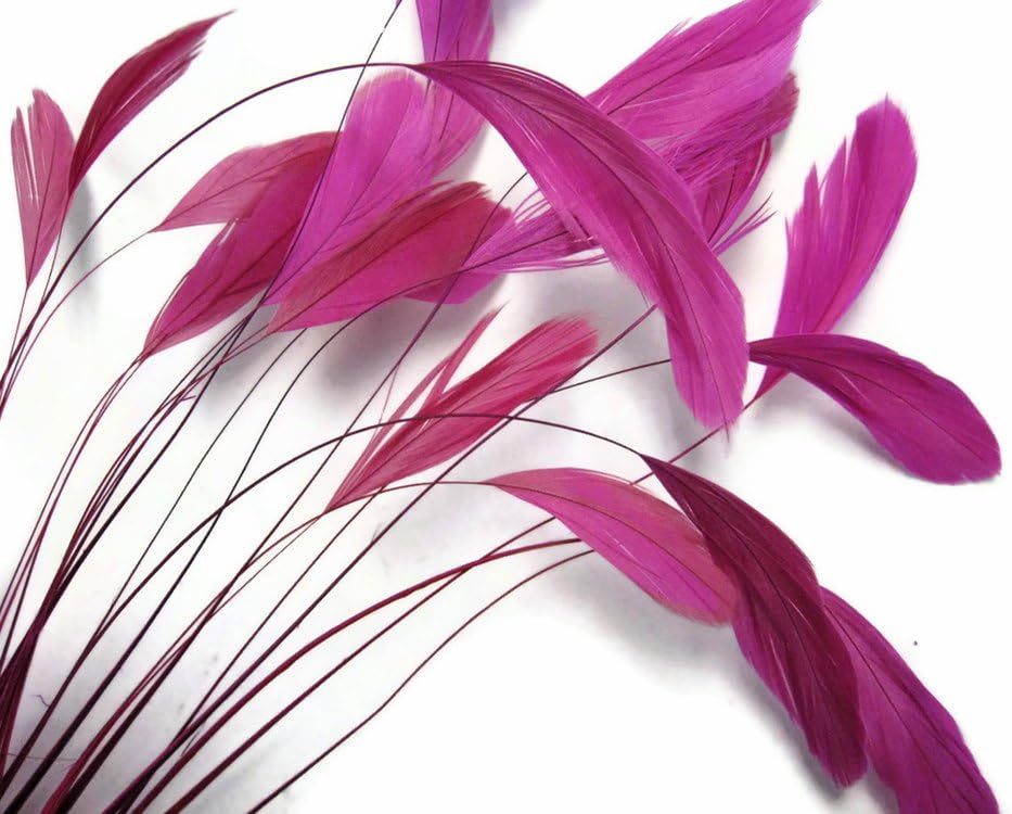 1 Dozen - Hot Pink Stripped Rooster Coque Tail Feathers