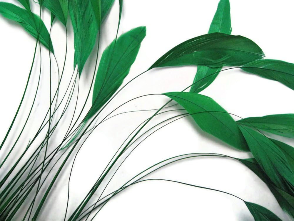 1 Dozen - Kelly Green Stripped Rooster Coque Tail Feathers