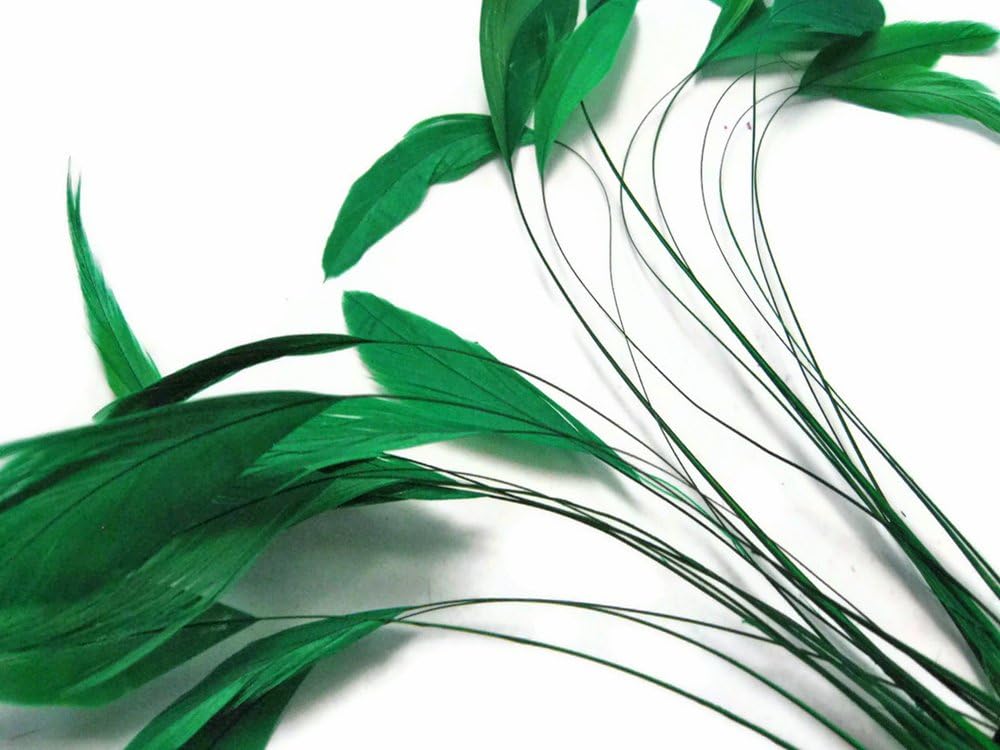 1 Dozen - Kelly Green Stripped Rooster Coque Tail Feathers