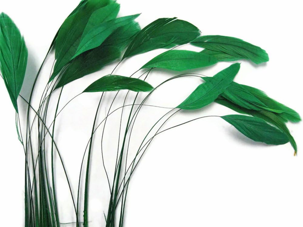 1 Dozen - Kelly Green Stripped Rooster Coque Tail Feathers